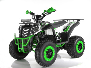 Квадроцикл ATV WELS Thunder Evo X 200